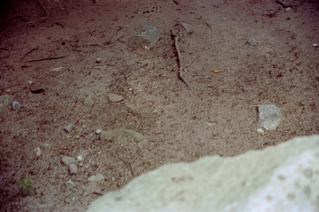 raw0025-positive-17.jpg